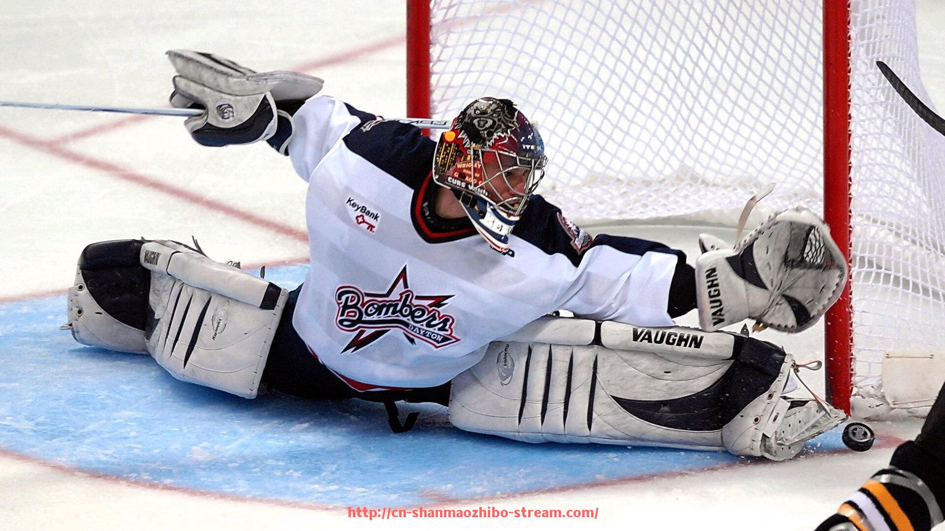 山猫直播官网-健身器材使用指南：如何高效锻炼